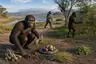 Historical food reconstruction