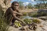 Historical food reconstruction