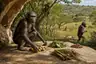 Historical food reconstruction