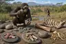 Historical food reconstruction