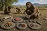 Historical food reconstruction