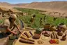 Historical food reconstruction