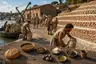 Historical food reconstruction