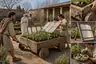 Historical food reconstruction