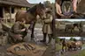 Historical food reconstruction