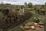 Historical food reconstruction