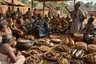 Historical food reconstruction