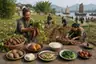 Historical food reconstruction