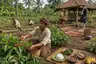 Historical food reconstruction