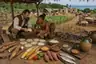 Historical food reconstruction