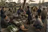 Historical food reconstruction