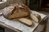 Historical food reconstruction