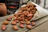 Historical food reconstruction