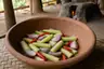 Historical food reconstruction