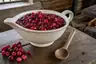Historical food reconstruction