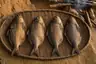 Historical food reconstruction