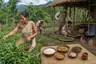 Historical food reconstruction