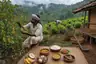 Historical food reconstruction