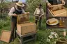 Historical food reconstruction