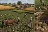 Historical food reconstruction