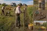 Historical food reconstruction