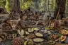 Historical food reconstruction