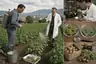 Historical food reconstruction