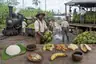 Historical food reconstruction