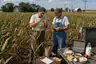 Historical food reconstruction