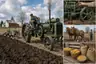 Historical food reconstruction
