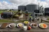 Historical food reconstruction