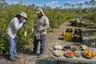 Historical food reconstruction