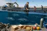 Historical food reconstruction