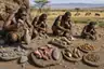 Historical food reconstruction