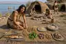 Historical food reconstruction