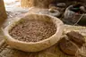 Historical food reconstruction