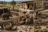 Historical food reconstruction