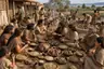 Historical food reconstruction