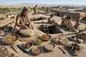 Historical food reconstruction