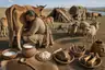 Historical food reconstruction