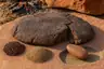 Historical food reconstruction