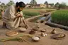 Historical food reconstruction