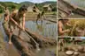 Historical food reconstruction