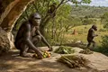 Australopithecines of Makapansgat