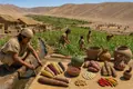 Nazca Desert Farmers