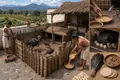 Turkeys Are Domesticated in Mesoamerica