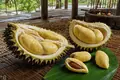 Durian