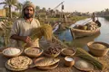 Islamic-Era Rice Expansion