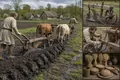 The Heavy Mouldboard Plow Opens Northern Europe’s Clay Soils