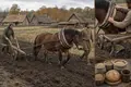 The Horse Collar Makes Horses Powerful Draft Animals